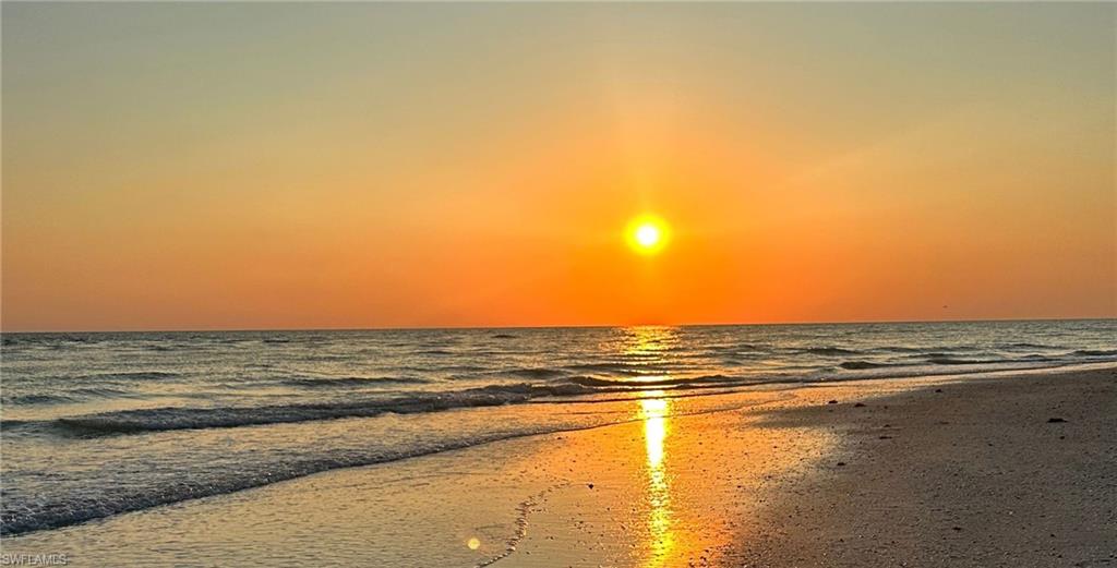 14744 Kingfisher LOOP