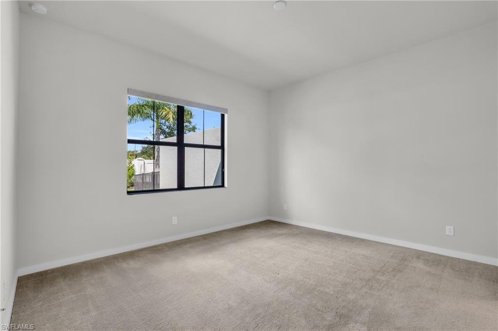 14744 Kingfisher LOOP