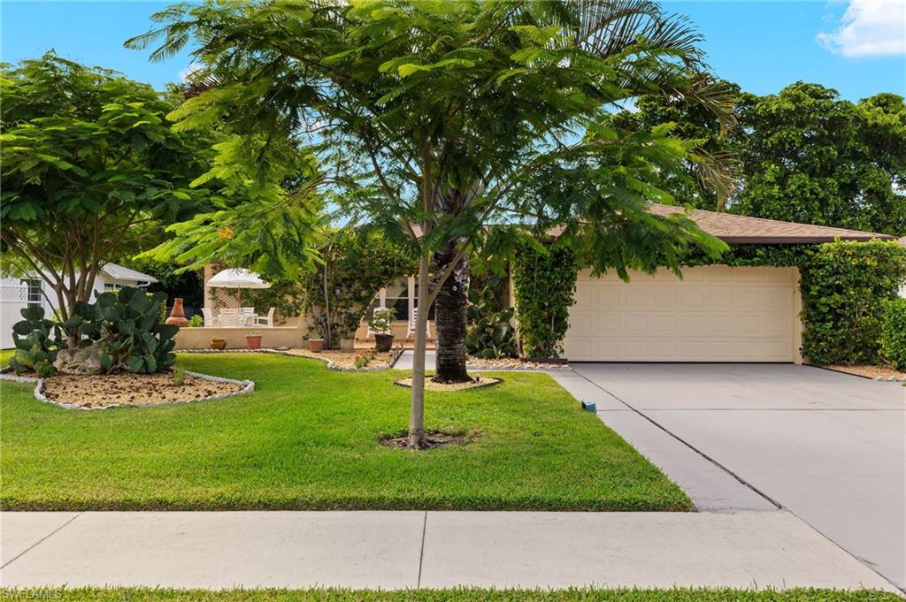 230 Dent DR