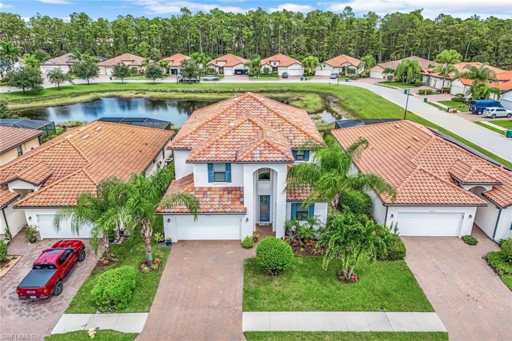 4243 Raffia Palm CIR