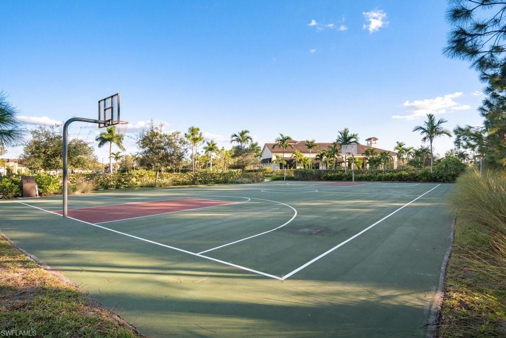 4243 Raffia Palm CIR