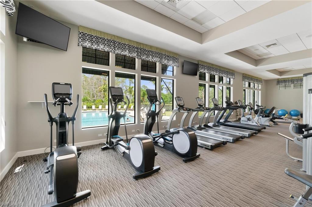 4243 Raffia Palm CIR