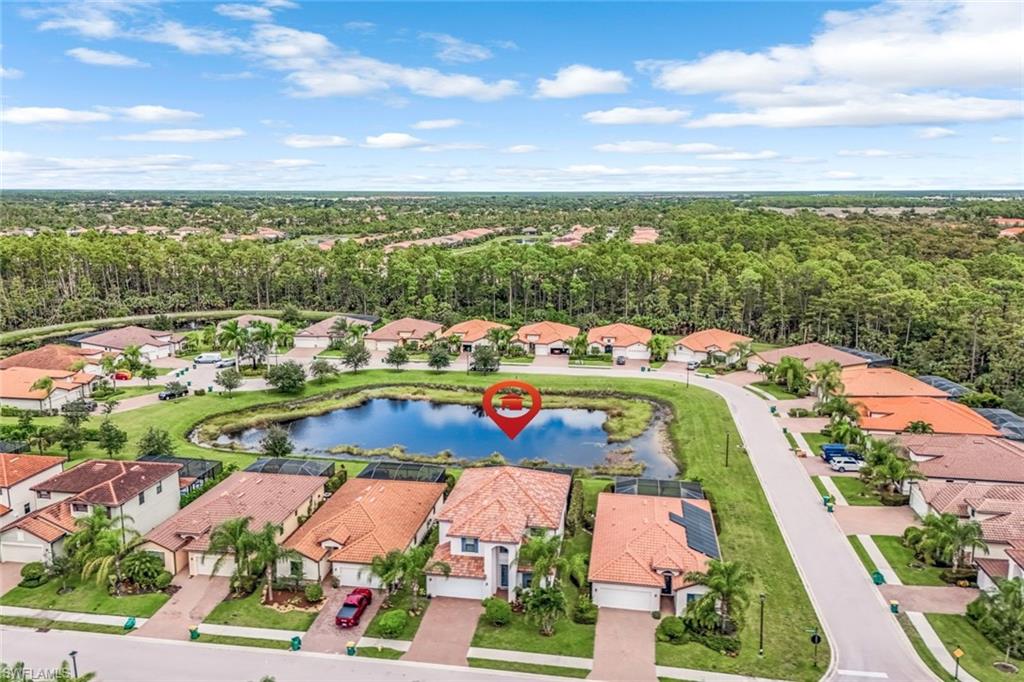 4243 Raffia Palm CIR