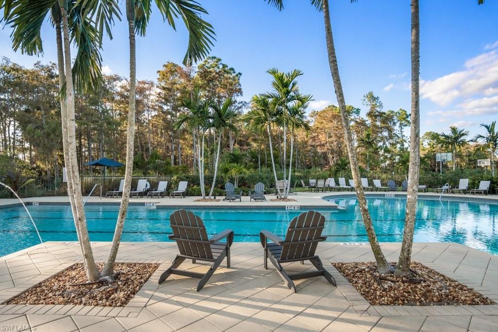 4243 Raffia Palm CIR