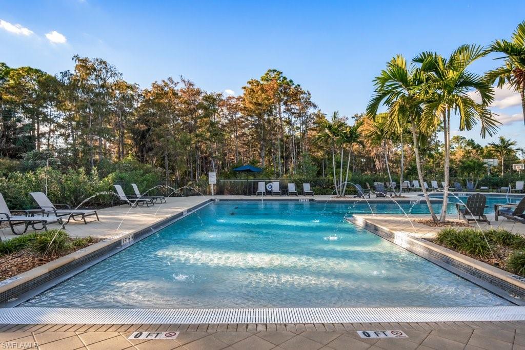 4243 Raffia Palm CIR