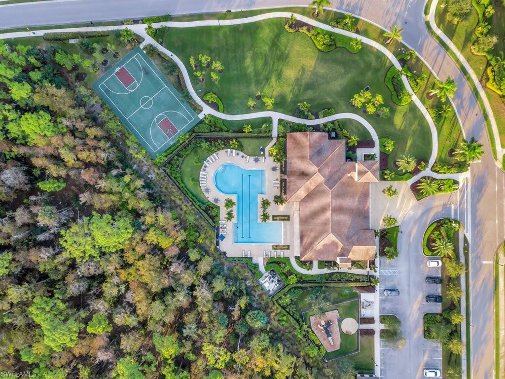 4243 Raffia Palm CIR