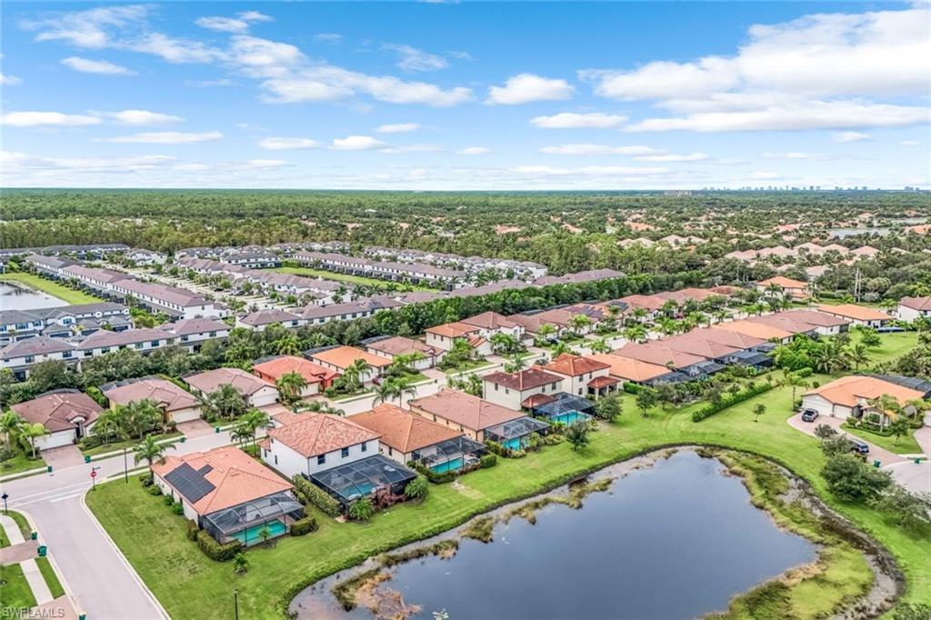 4243 Raffia Palm CIR