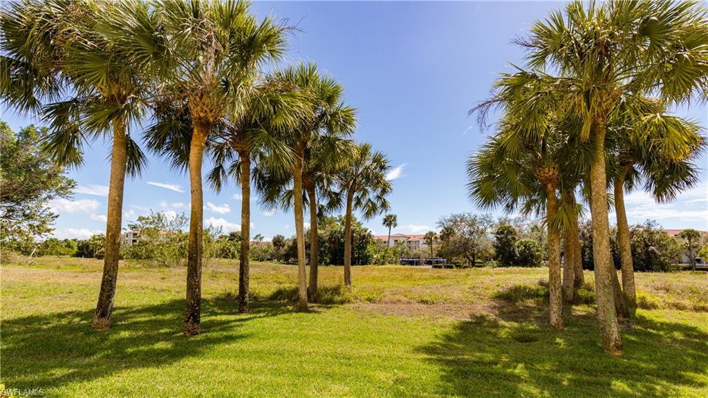 4017 Palm Tree BLVD # 102