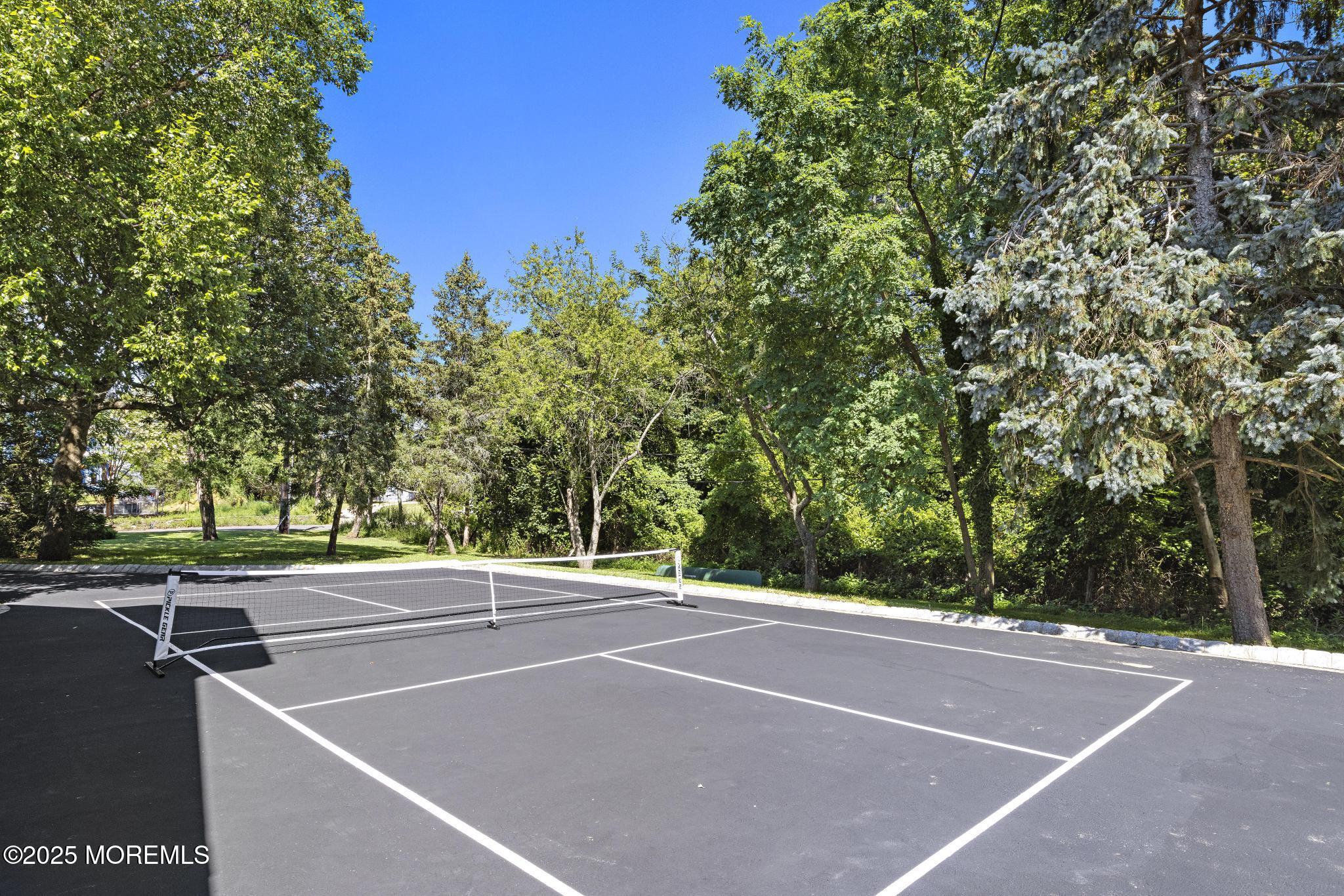 8 Black Point Horseshoe Street