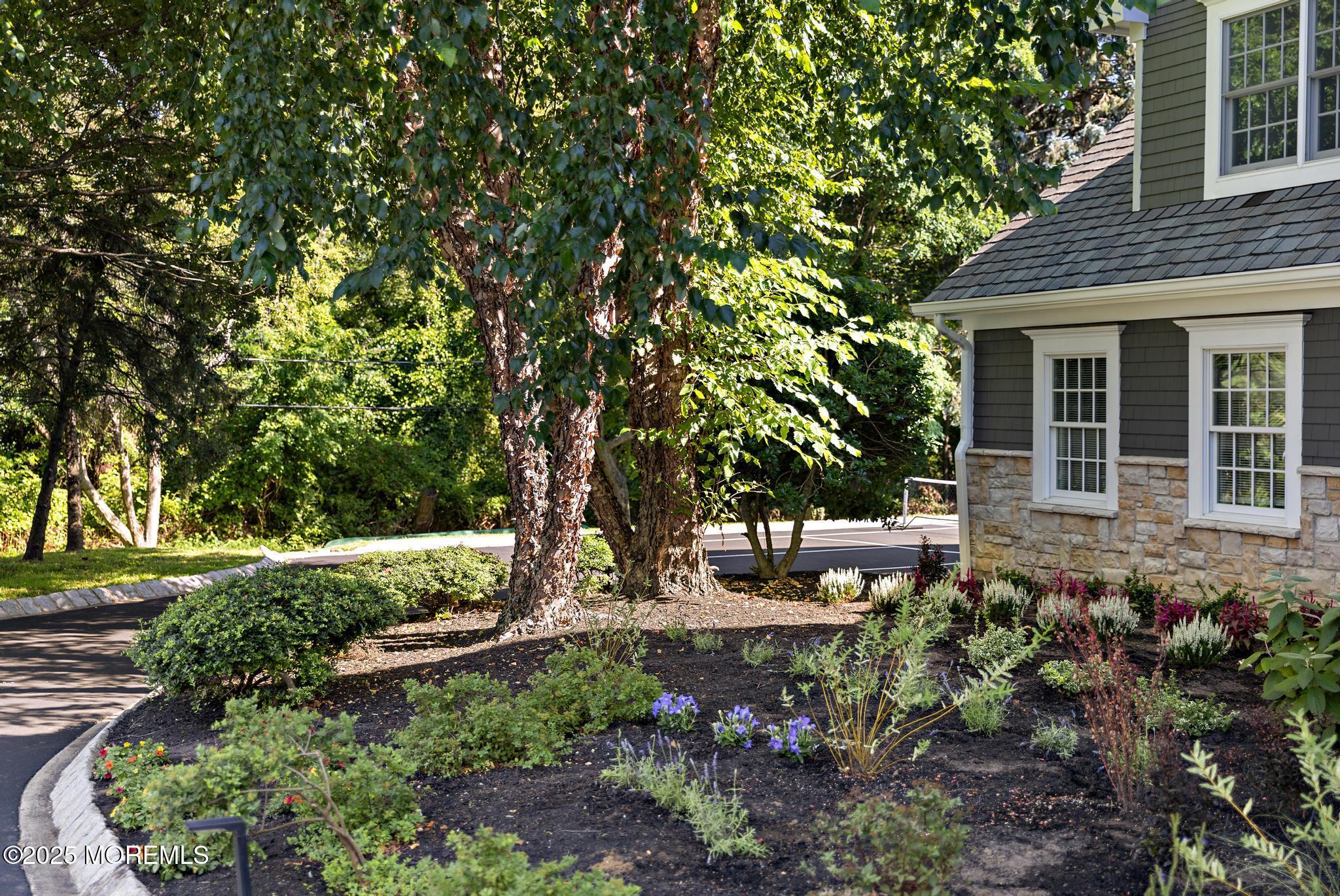 8 Black Point Horseshoe Street