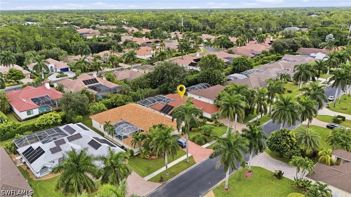 2019 Terrazzo LN