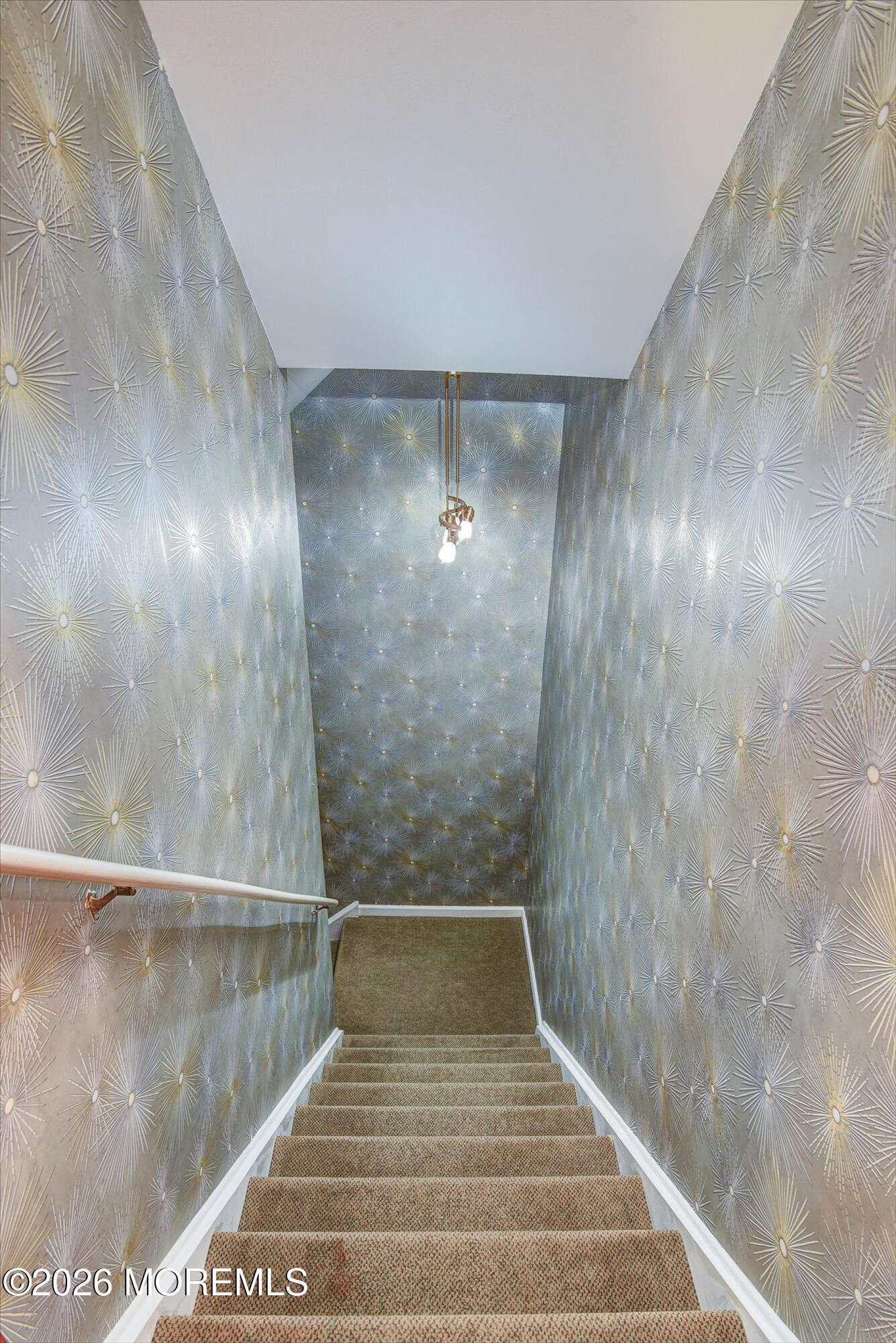 7 Mccampbell Road