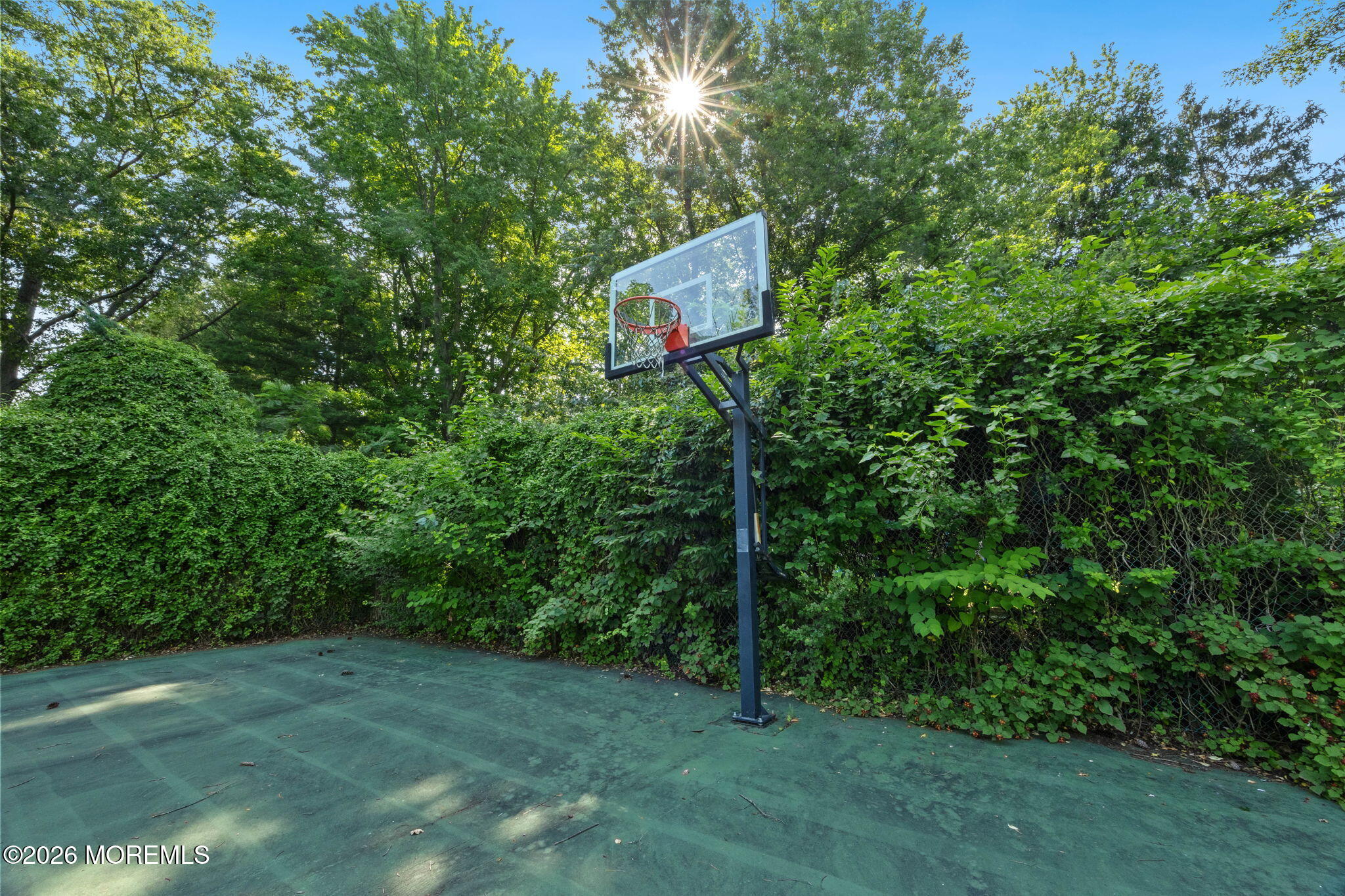 37 Schanck Road