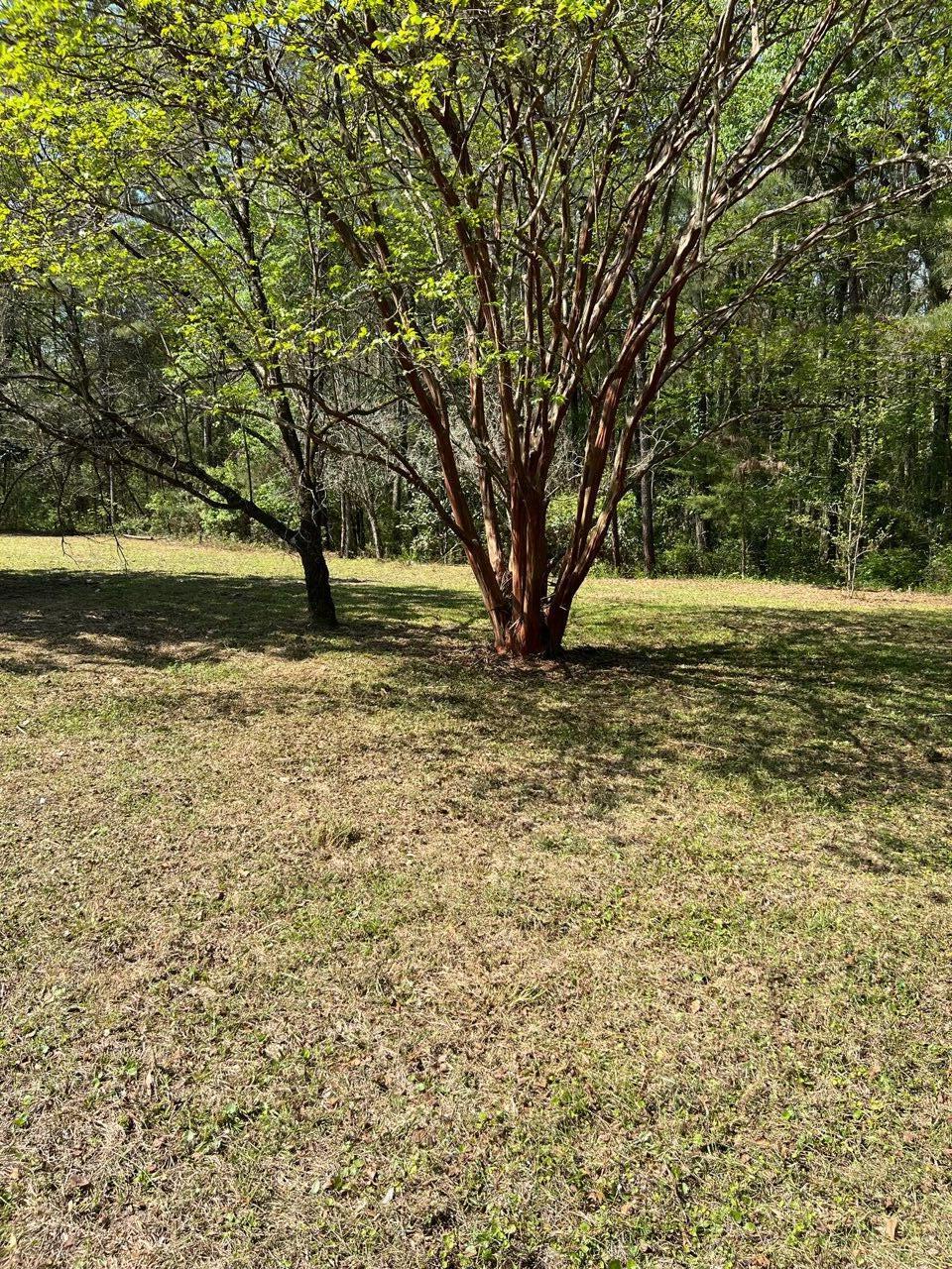 166 Fishburn Road