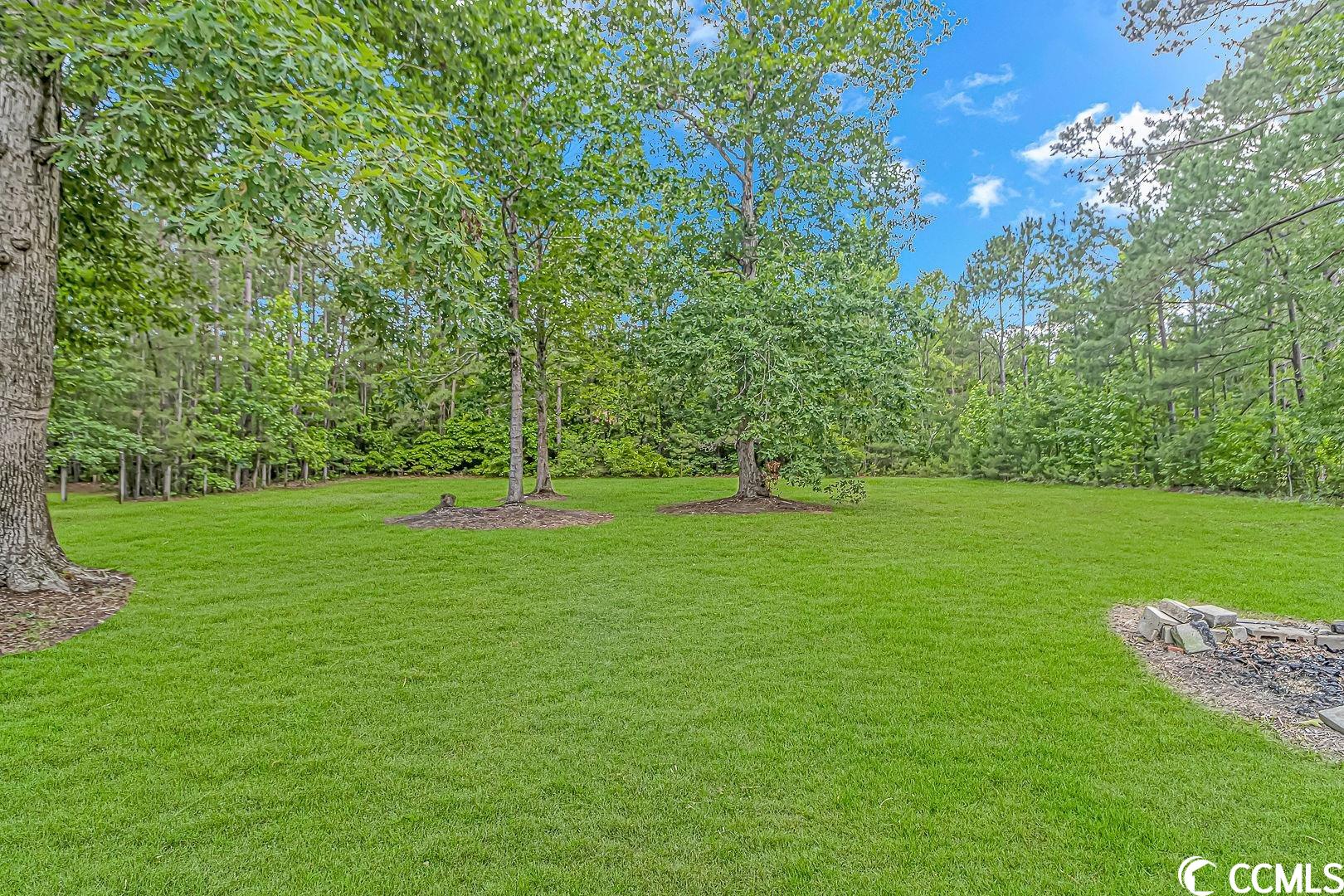 1406 Race Track Rd.