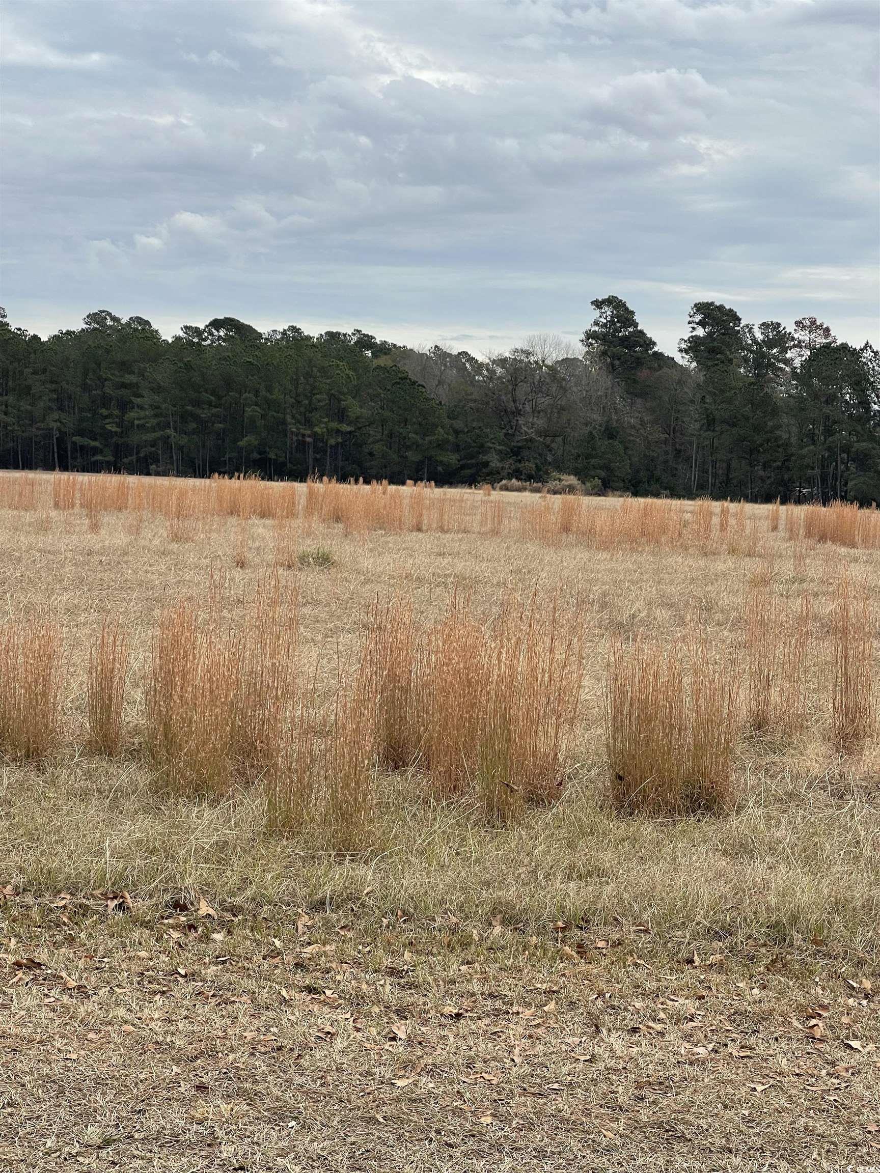 TBD Gurley Rd.