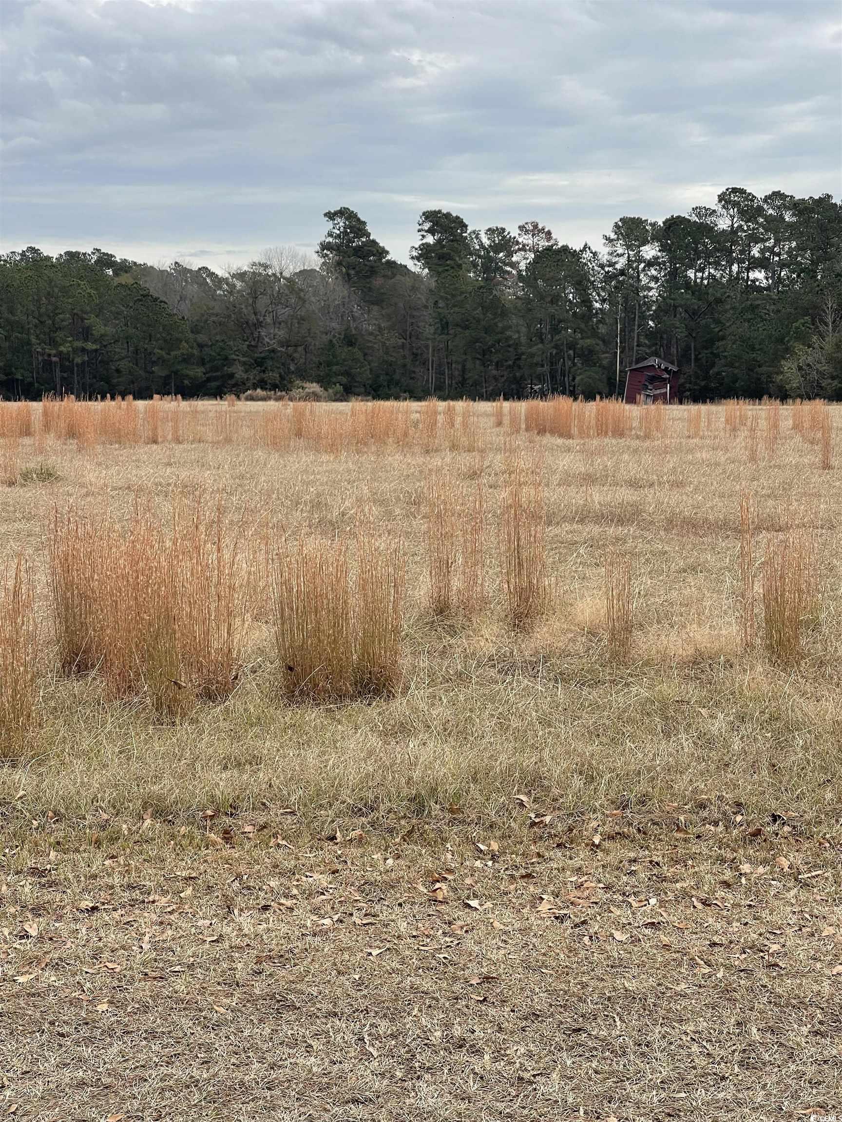 TBD Gurley Rd.