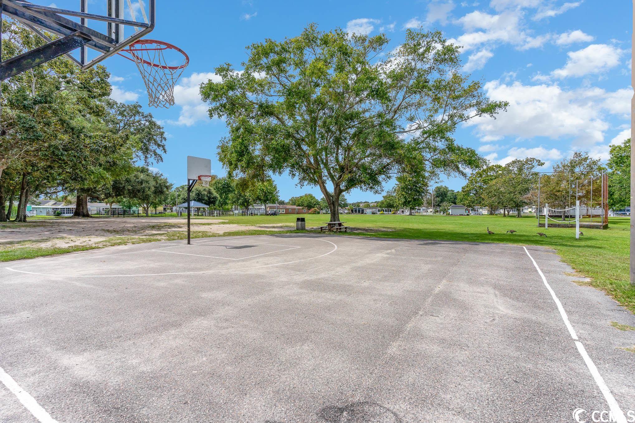441 Oceanside Dr.
