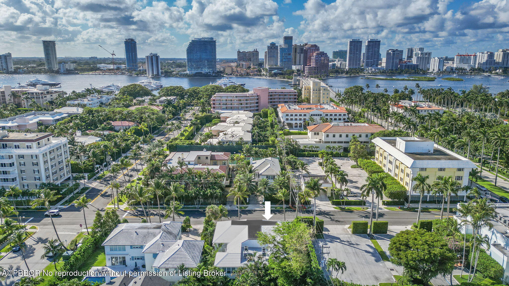 311 Cocoanut Row, 101