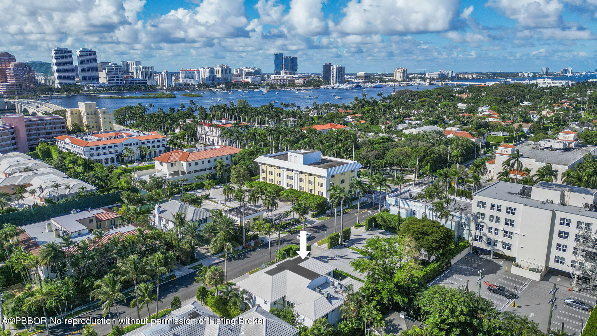 311 Cocoanut Row, 101