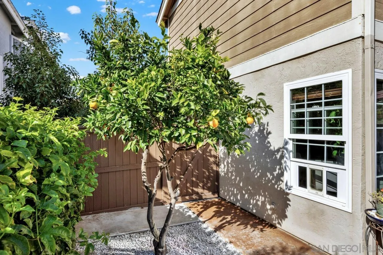 2967 Brandon Cir