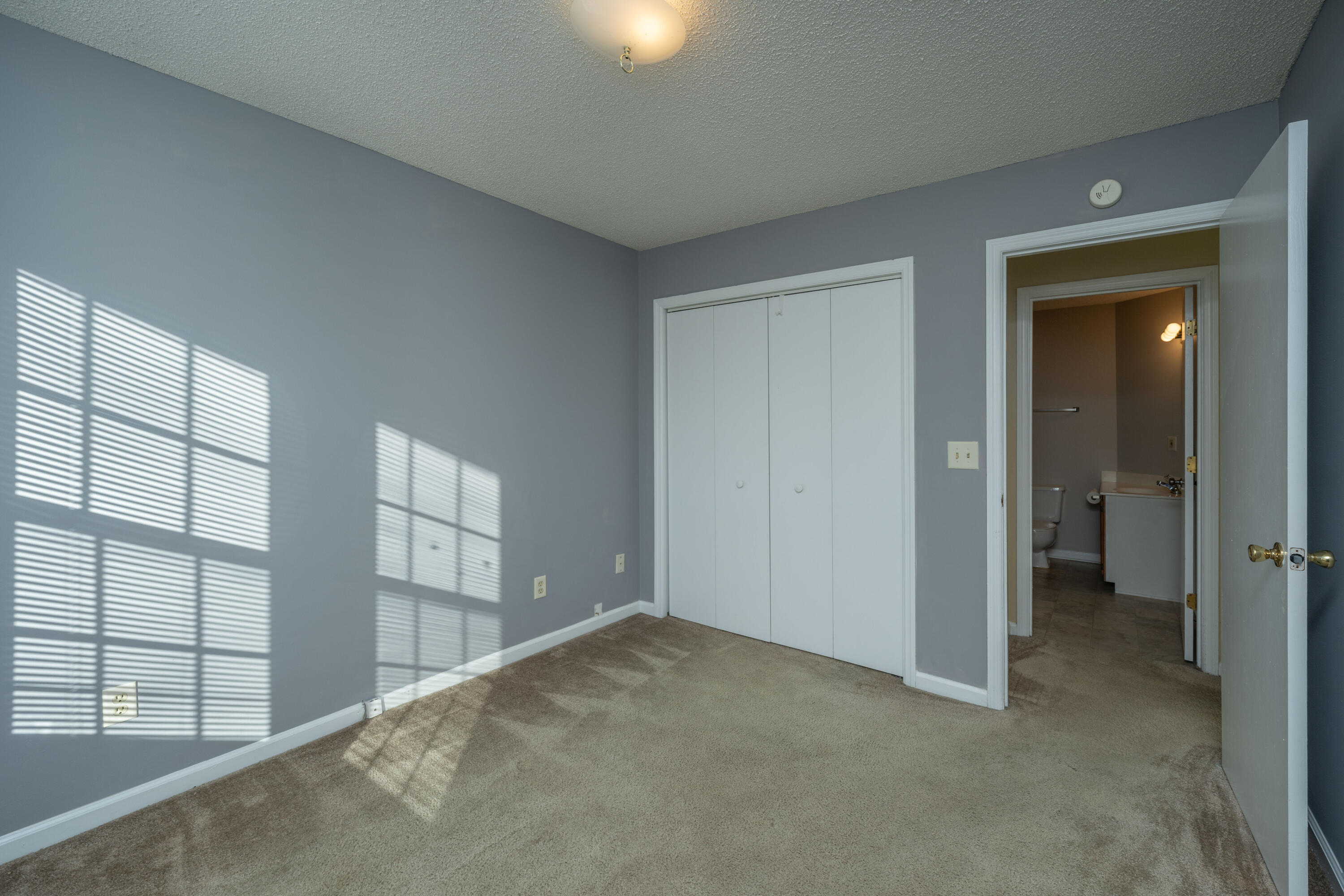 411 Hedge Way