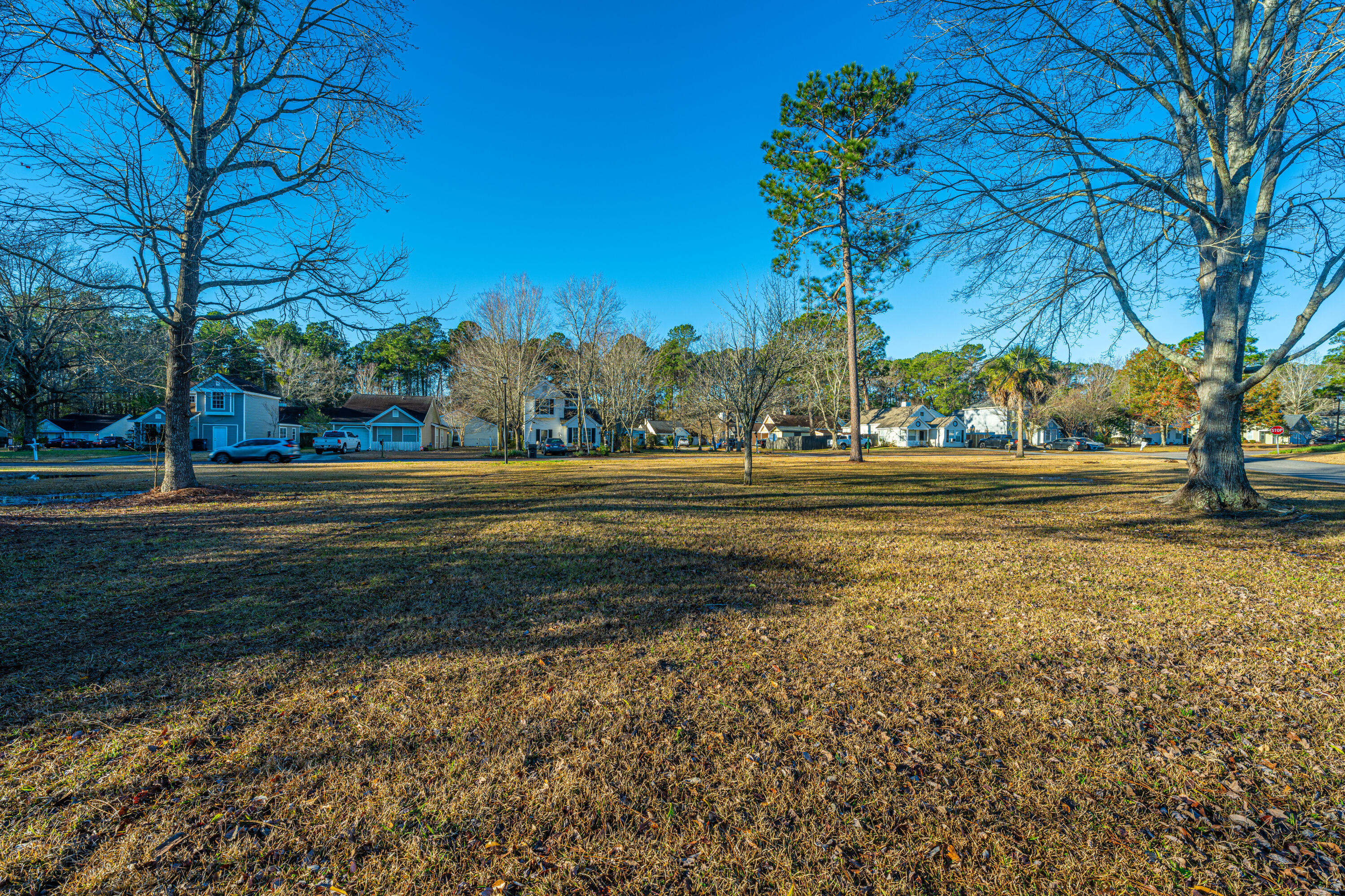 411 Hedge Way