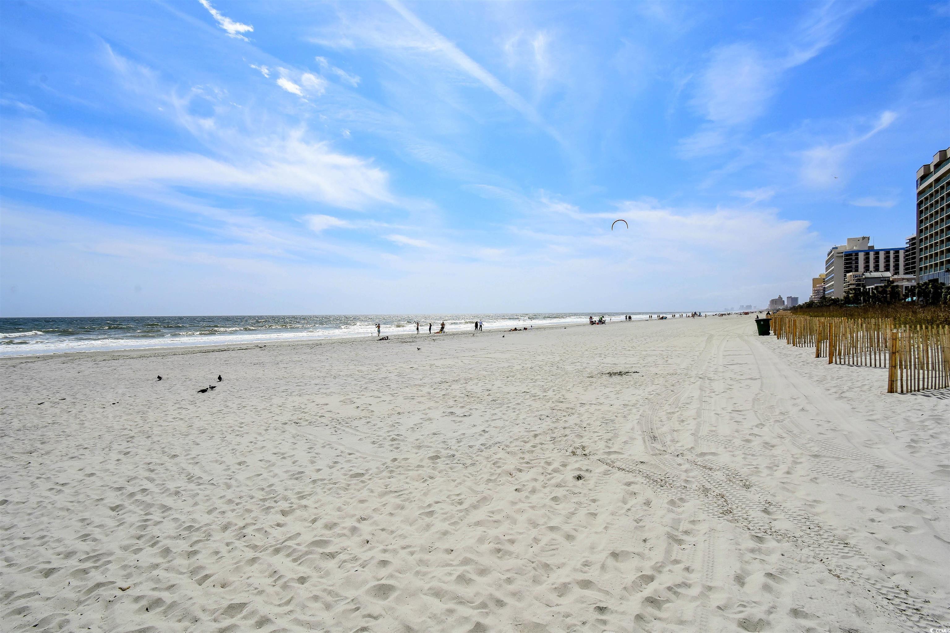 7500 N Ocean Blvd. Unit: 6095