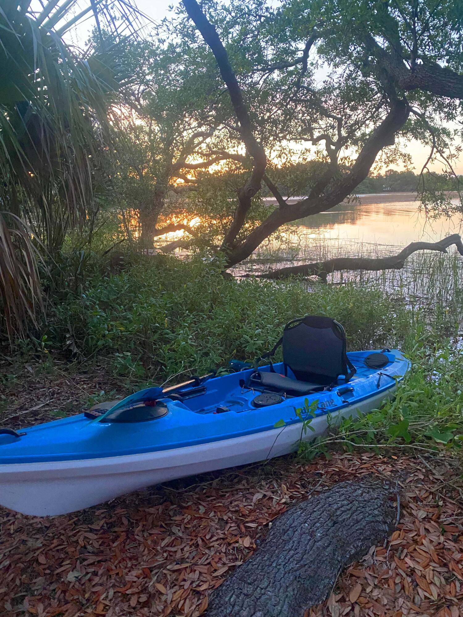 1540 Wando View Street