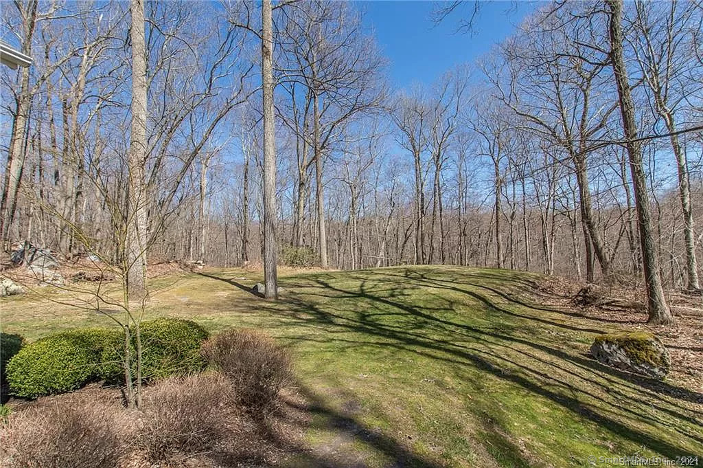 5 Dark Pond Trail