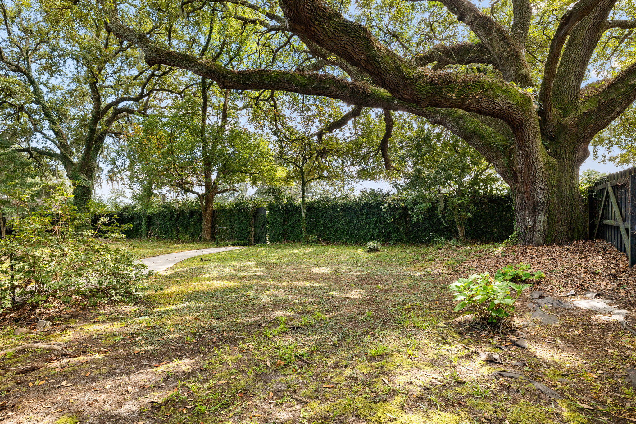 717 Woodward Road