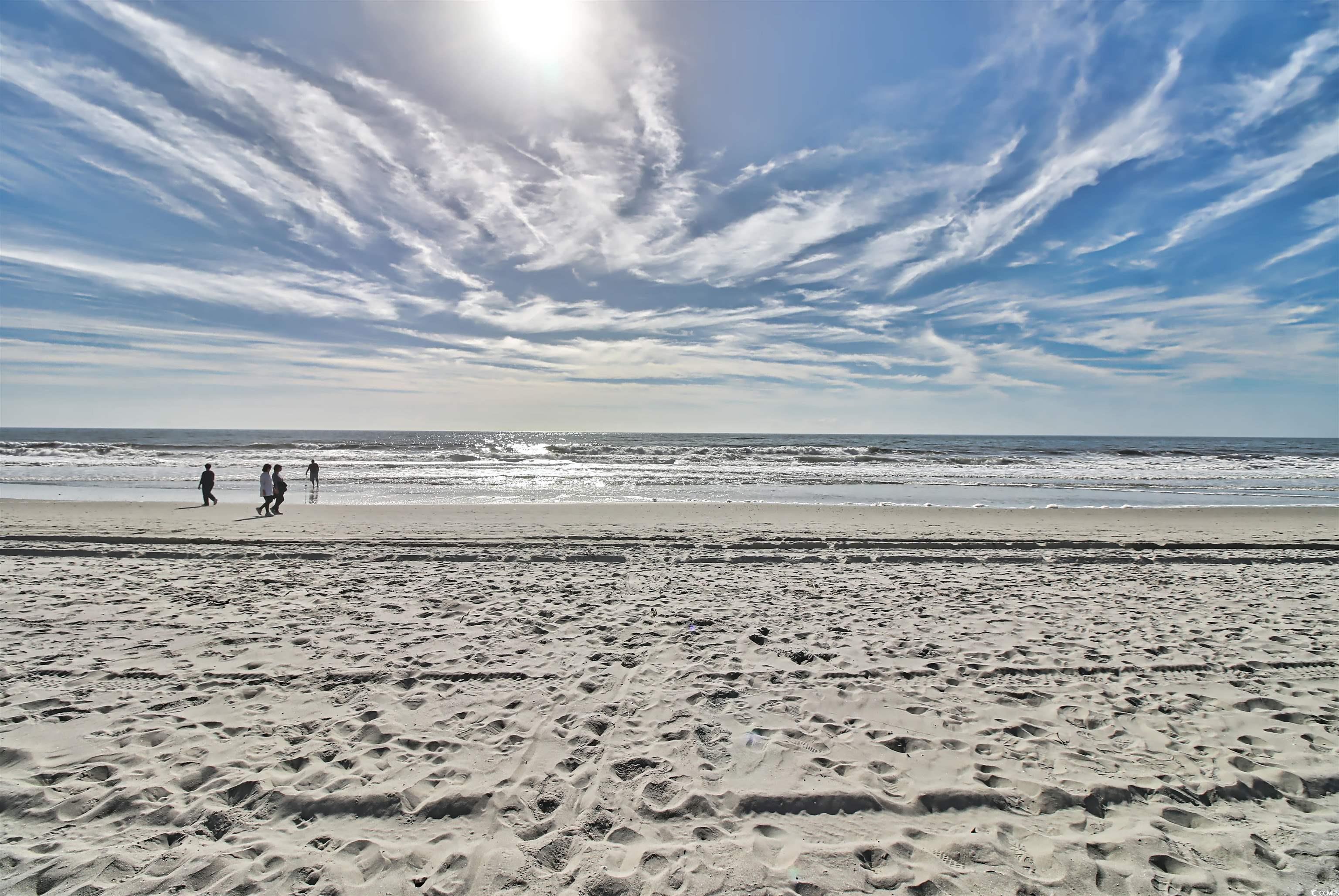 6253 Catalina Dr. Unit: 1124