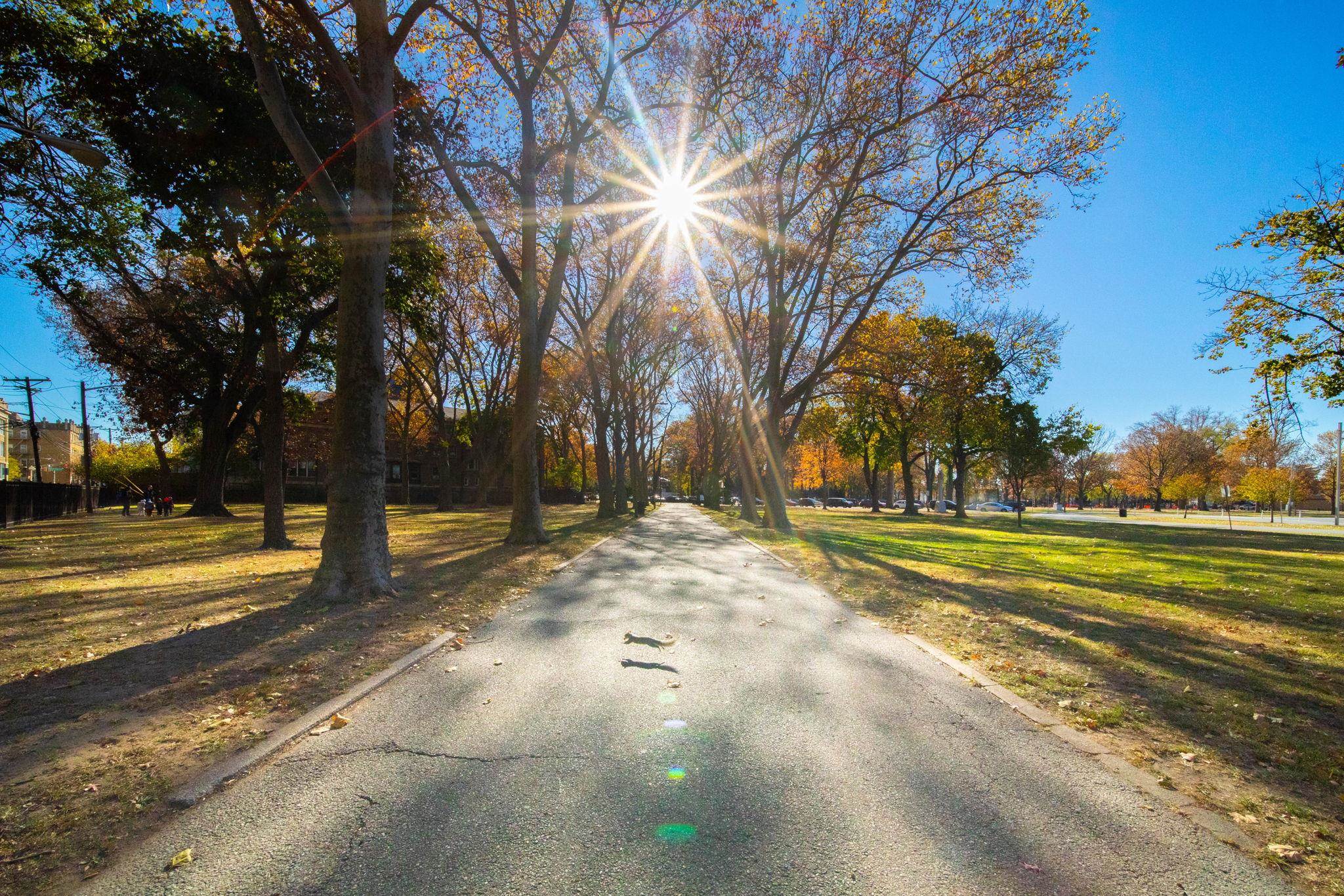 126 DELAWARE AVE Unit: 8