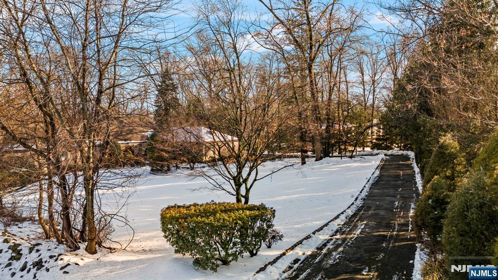91 Carnot Avenue