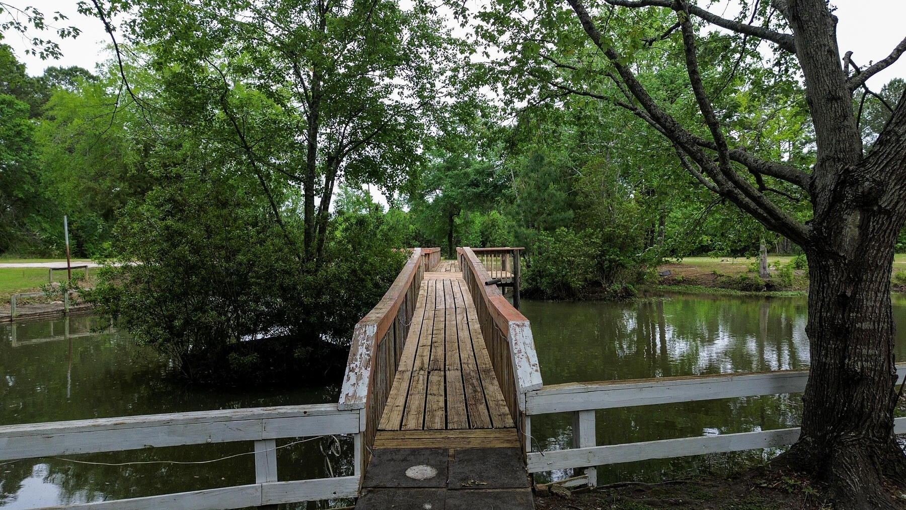 228 Dogwood Trail
