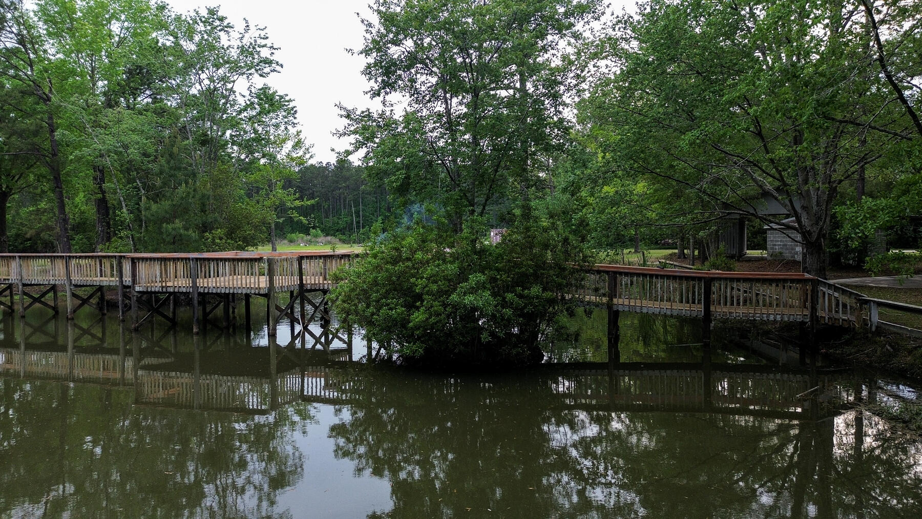 228 Dogwood Trail