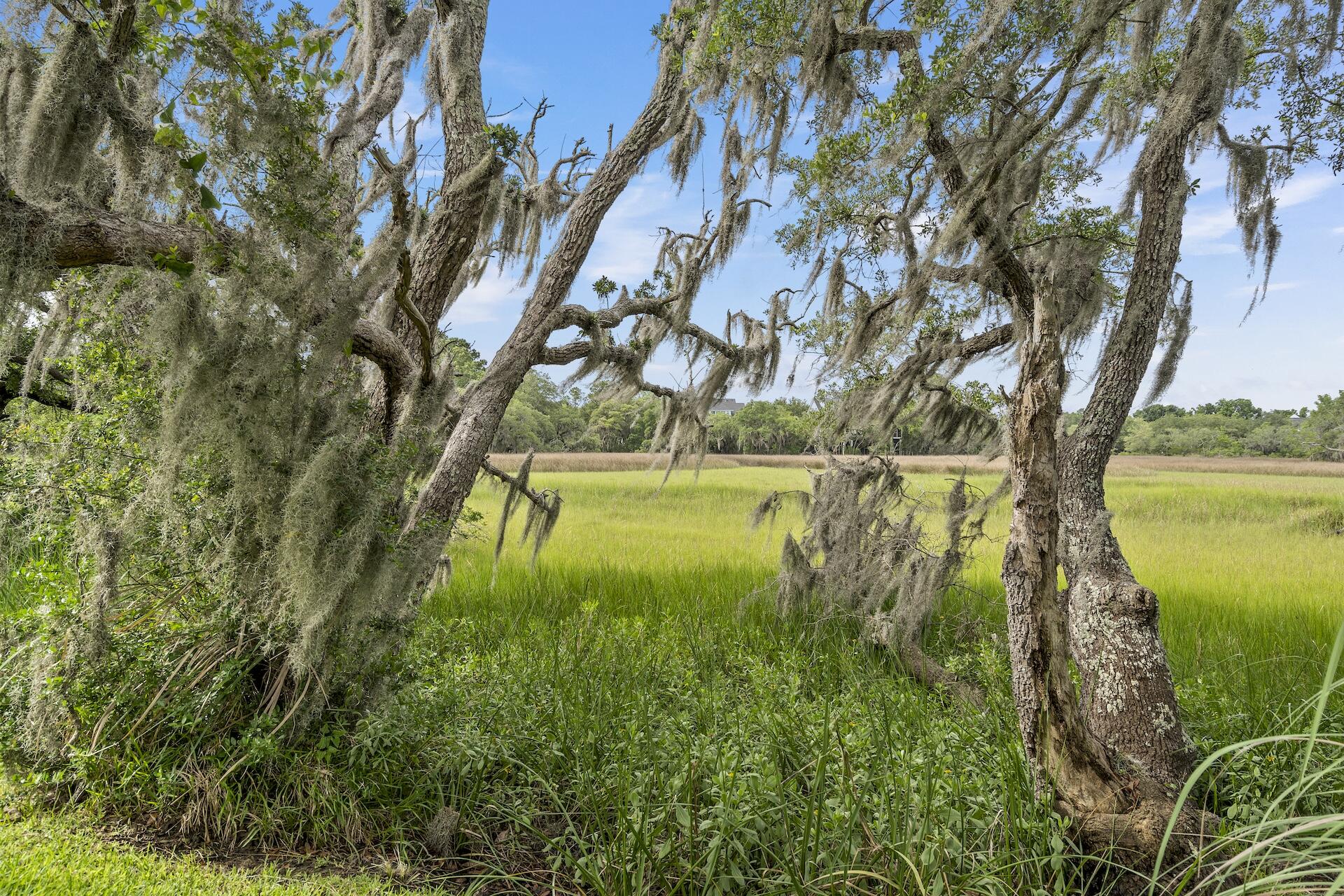 228 Beresford Creek Street