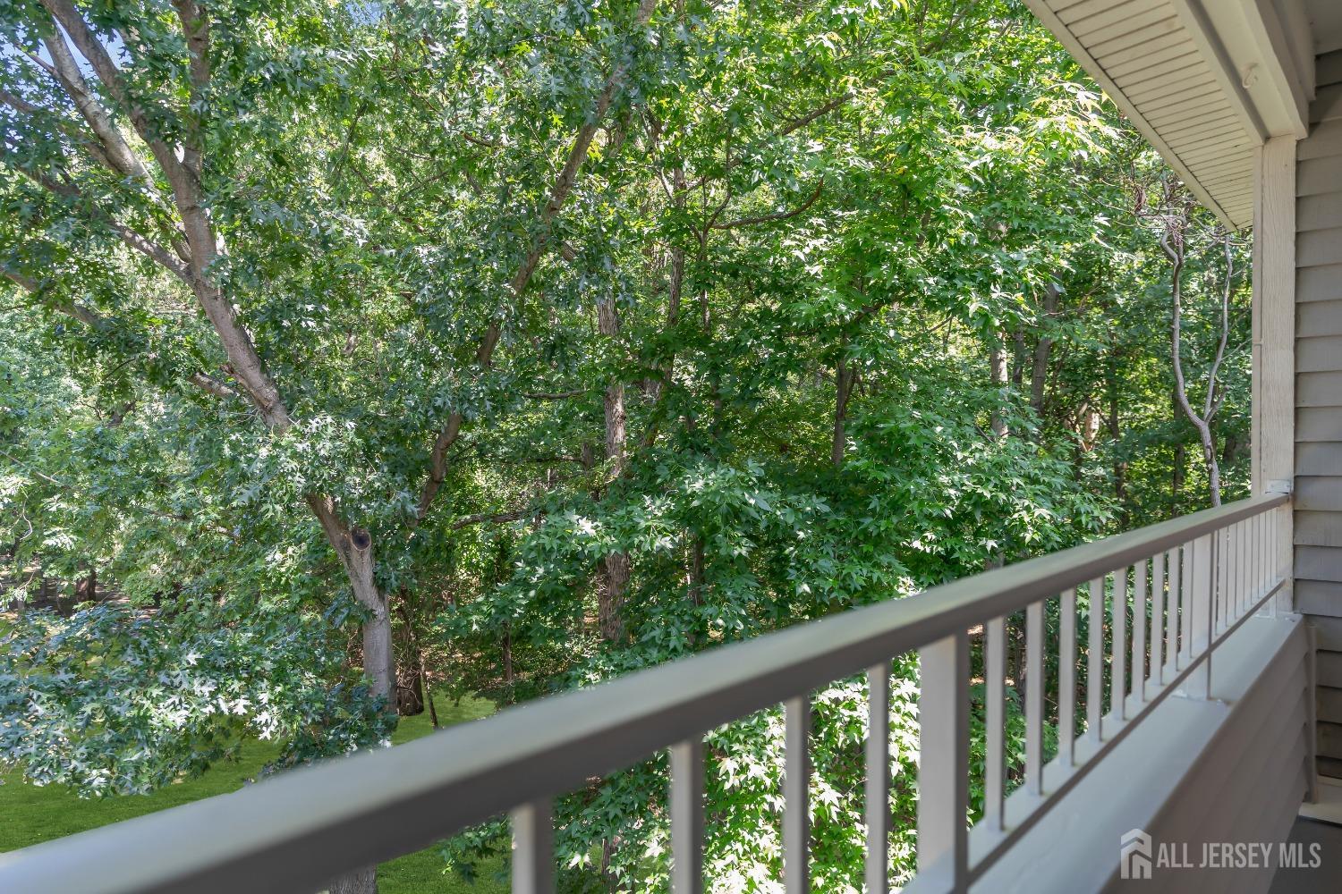 911 Meadow Court # 911