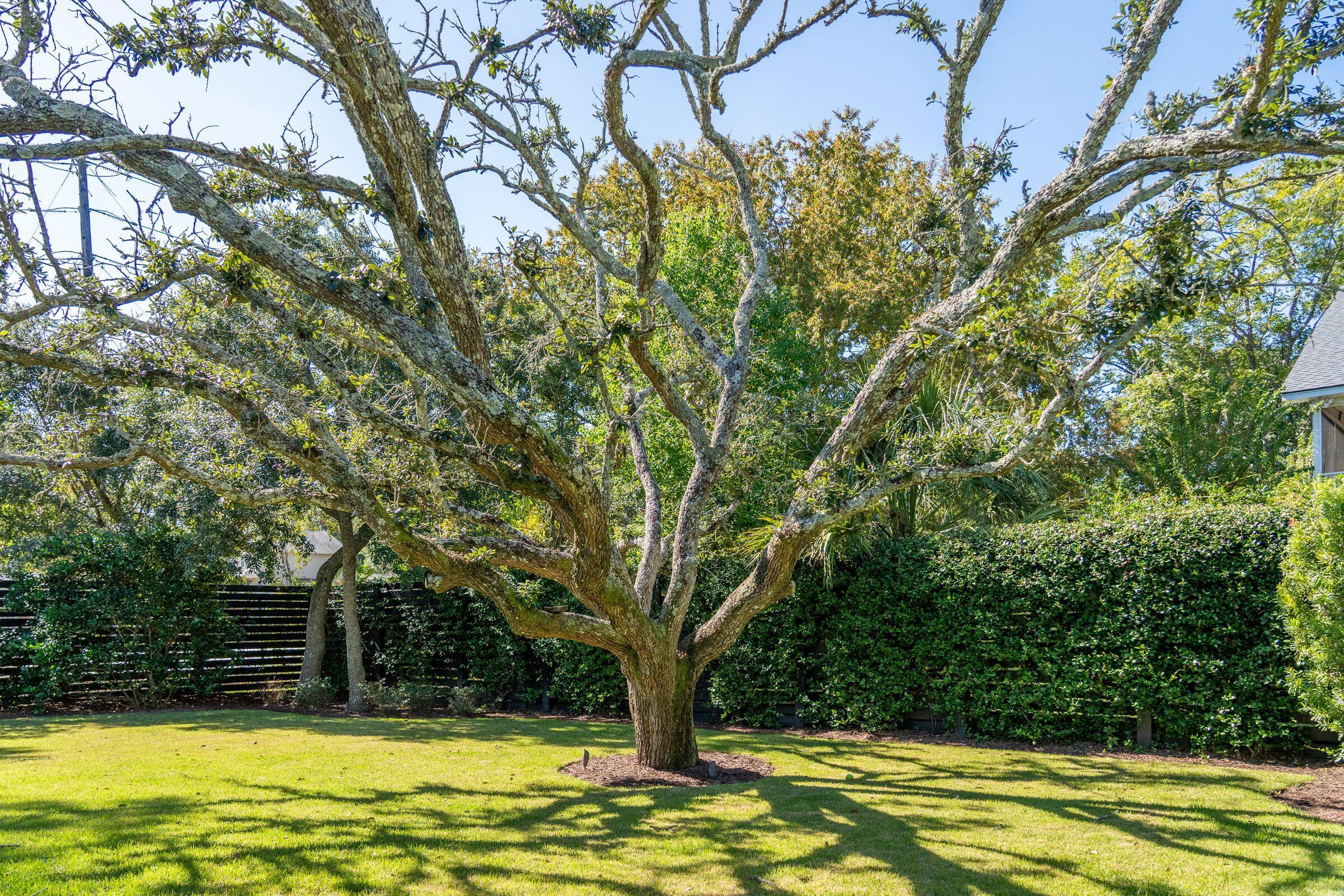 1483 Burningtree Road