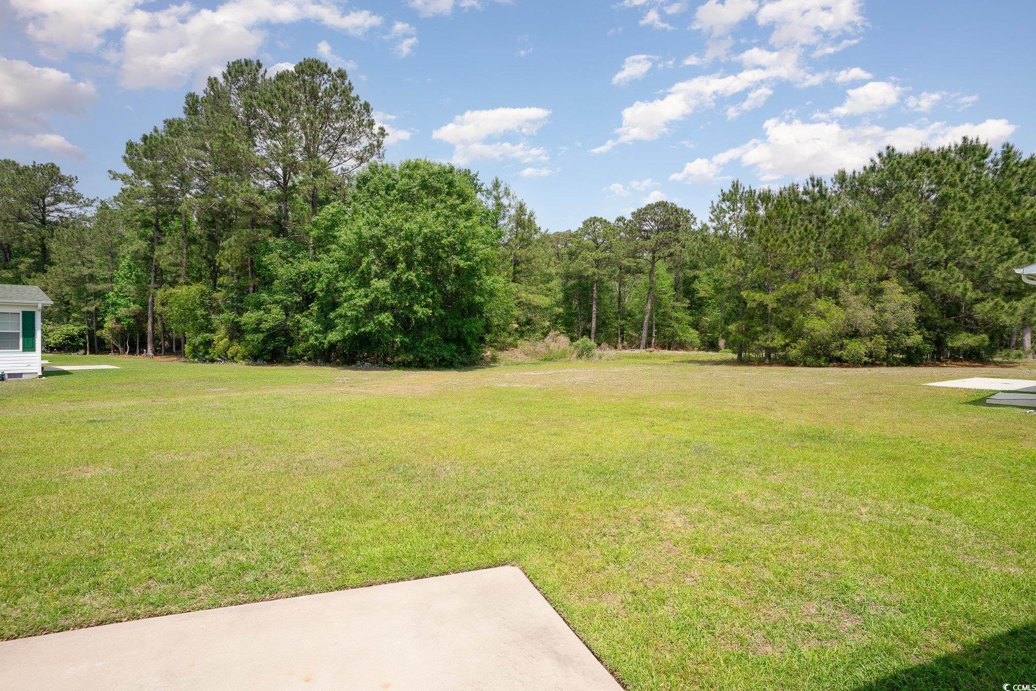 1007 Greencrest Ct.