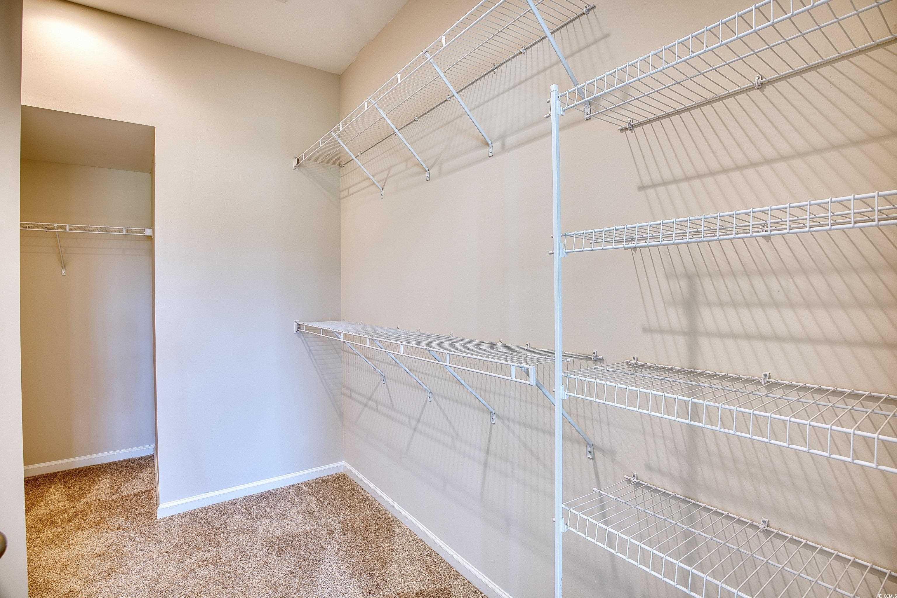 279 Palmetto Sand Loop