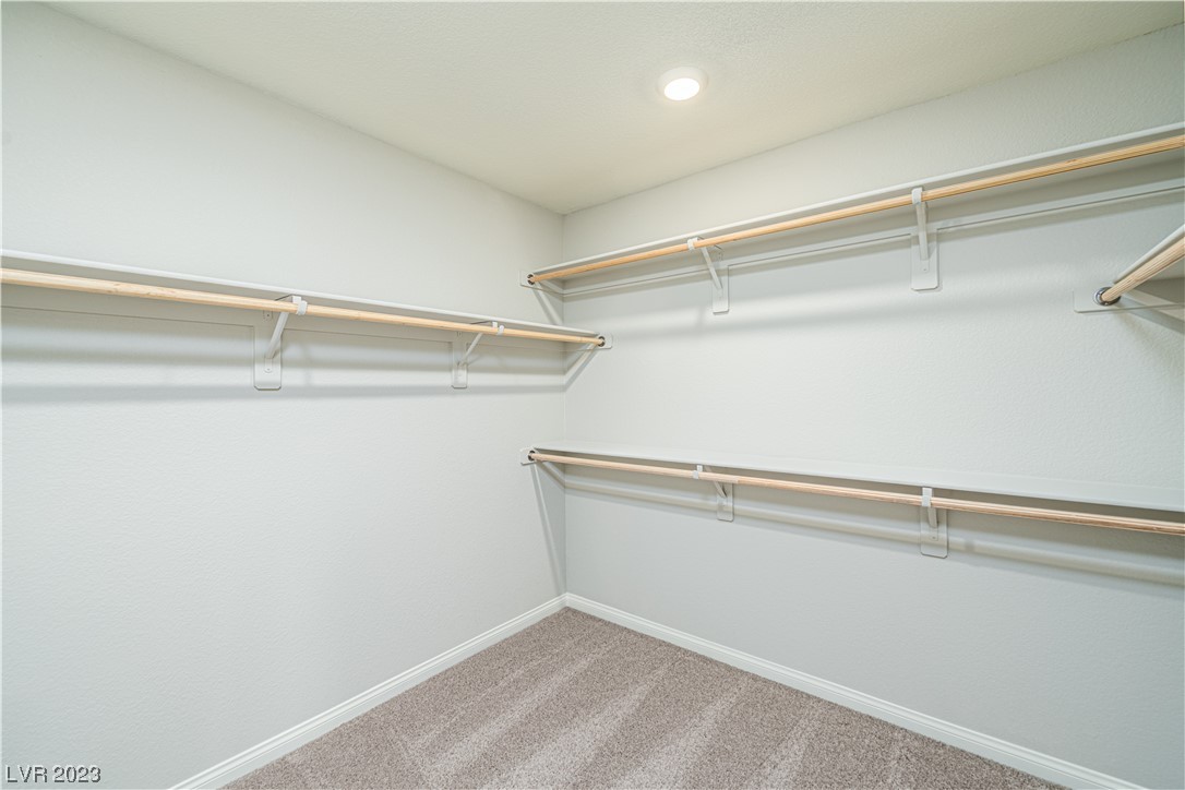 4225 Sago Lily Street