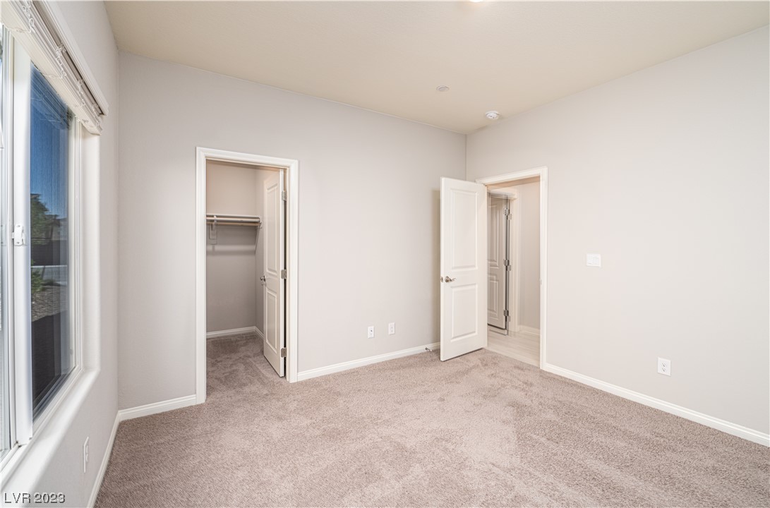 4225 Sago Lily Street