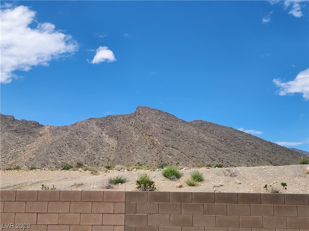 4225 Sago Lily Street