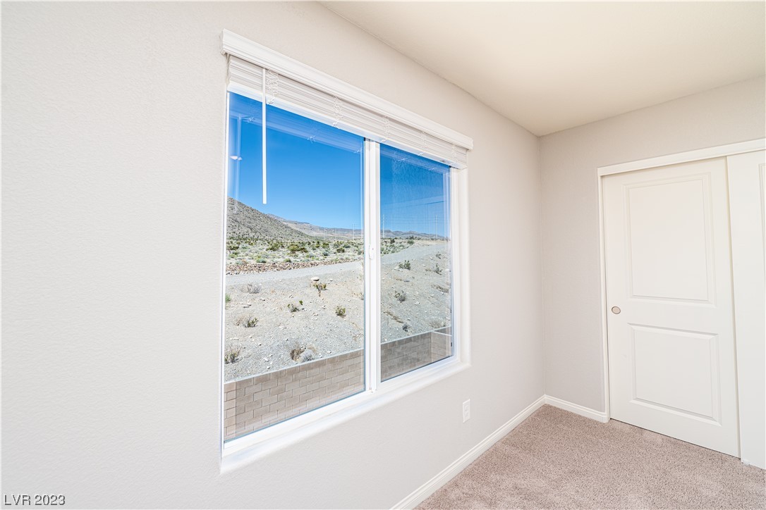 4225 Sago Lily Street