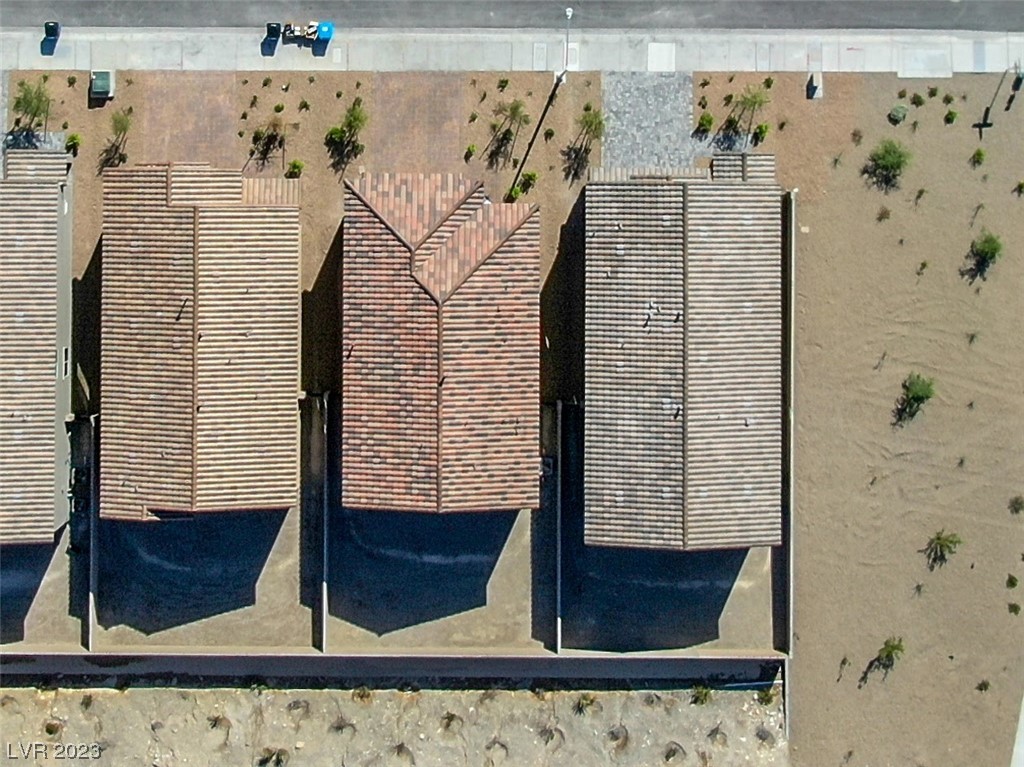 4225 Sago Lily Street