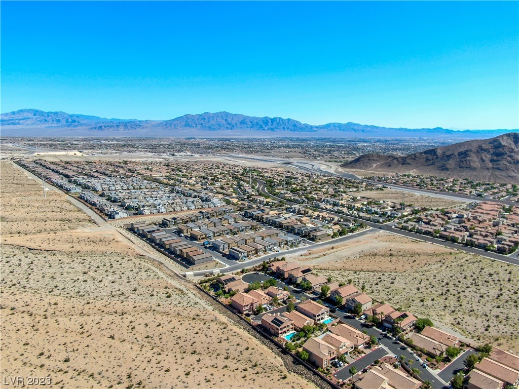 4225 Sago Lily Street