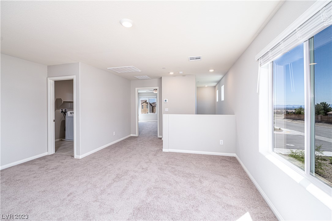 4225 Sago Lily Street