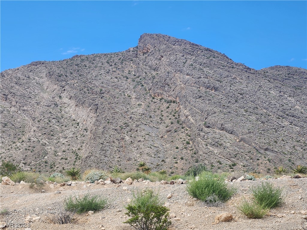 4225 Sago Lily Street