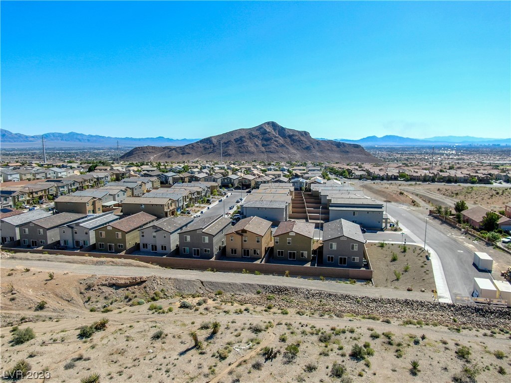 4225 Sago Lily Street